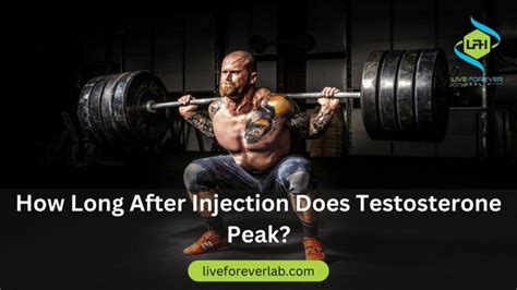 Timing Testosterone: When Does It Reach Peak。